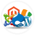 CMS Website Designing