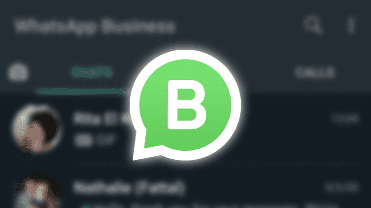whatsapp business