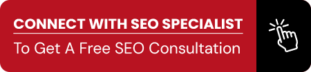 connect-with-seo